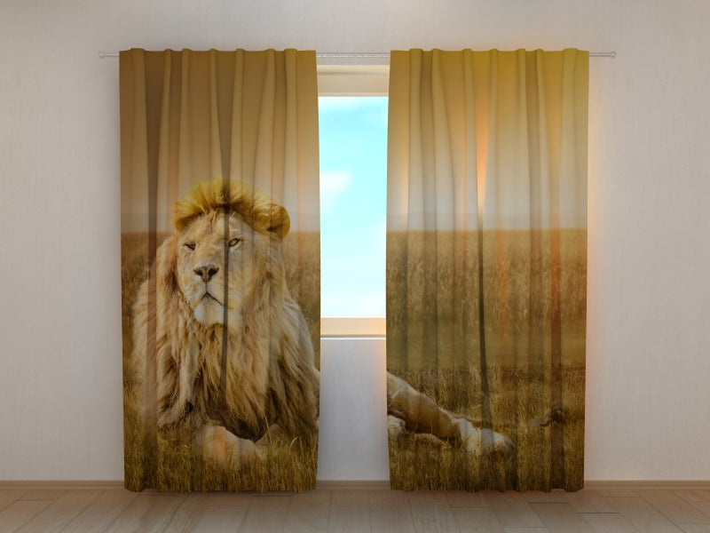 Foto Tende Re Degli Animali acquistare Foto Tende Re Degli Animali — Foto