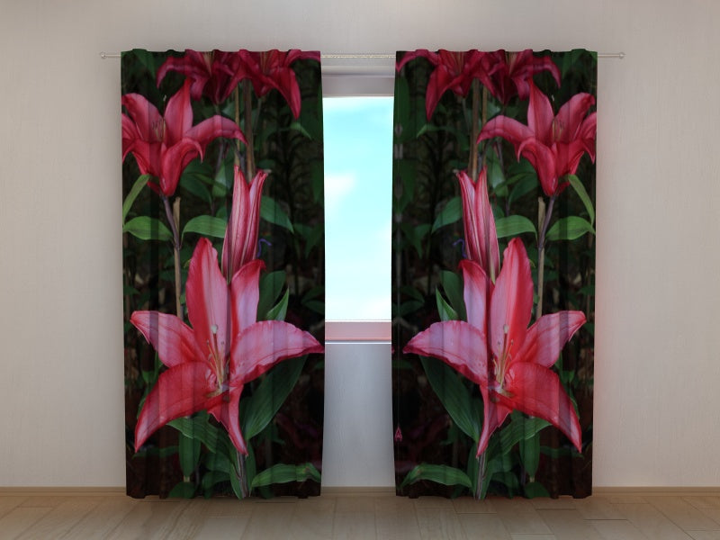 Foto Tende Gigli in Giardino acquistare Foto Tende Gigli in Giardino — Foto