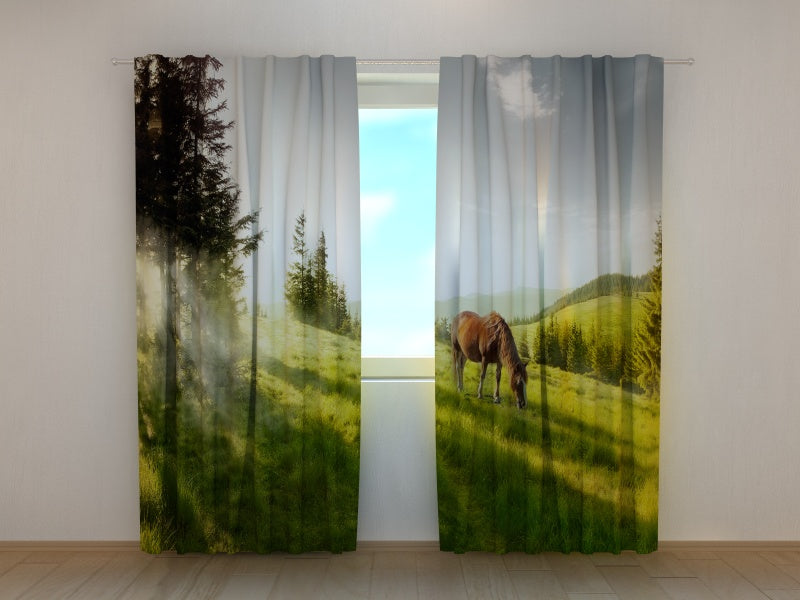 Foto Tende Una Mattina acquistare Foto Tende Una Mattina — Foto