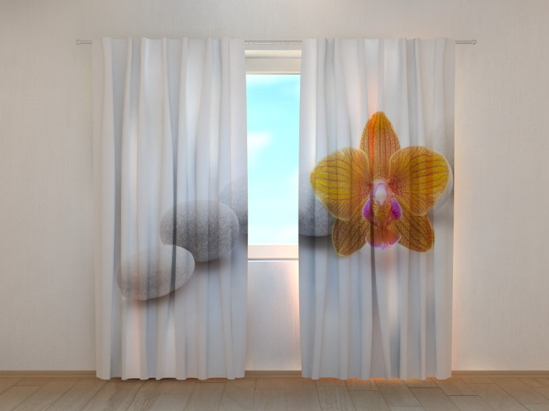 Foto Tende Orchidea Arancione su Pietre Termali acquistare Foto Tende Orchidea Arancione su Pietre Termali — Foto