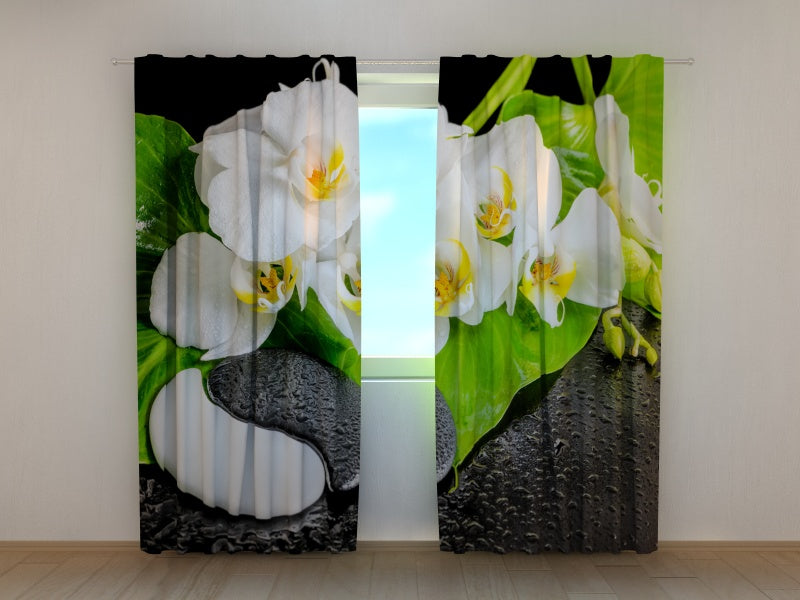 Foto Tende Orchidee con Pietre Yin Yang acquistare Foto Tende Orchidee con Pietre Yin Yang — Foto