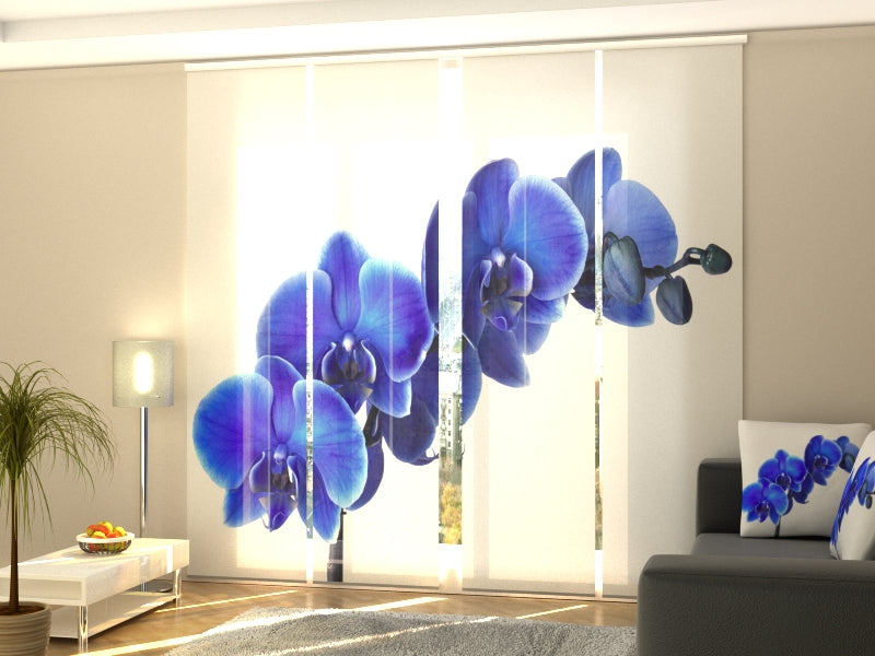 Set di 4 Tende a Pannello Delizioso Zaffiro acquistare Set di 4 Tende a Pannello Delizioso Zaffiro — Foto