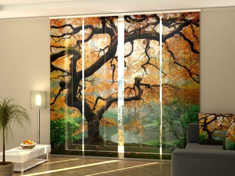 Set di 4 Tende a Pannello Vecchio Acero Giapponese acquistare Set di 4 Tende a Pannello Vecchio Acero Giapponese — Foto