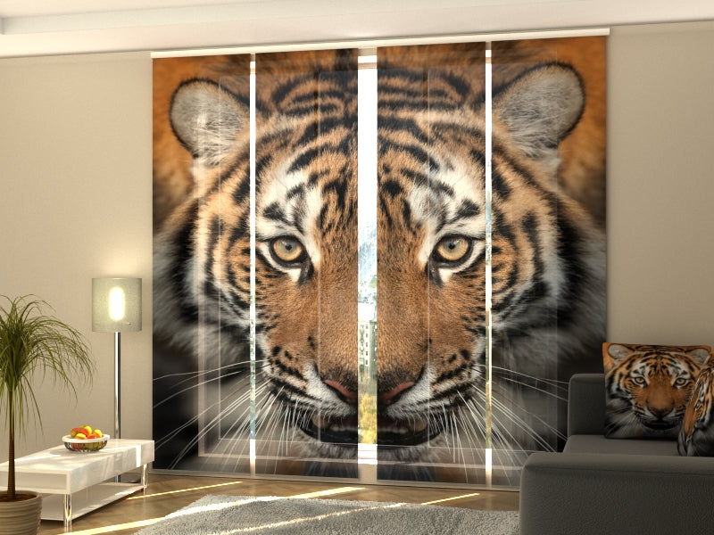 Set di 4 Tende a Pannello Tigre Siberiana acquistare Set di 4 Tende a Pannello Tigre Siberiana — Foto