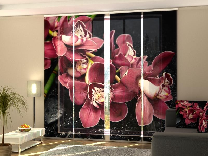 Set di 4 Tende a Pannello Fantasia acquistare Set di 4 Tende a Pannello Fantasia — Foto