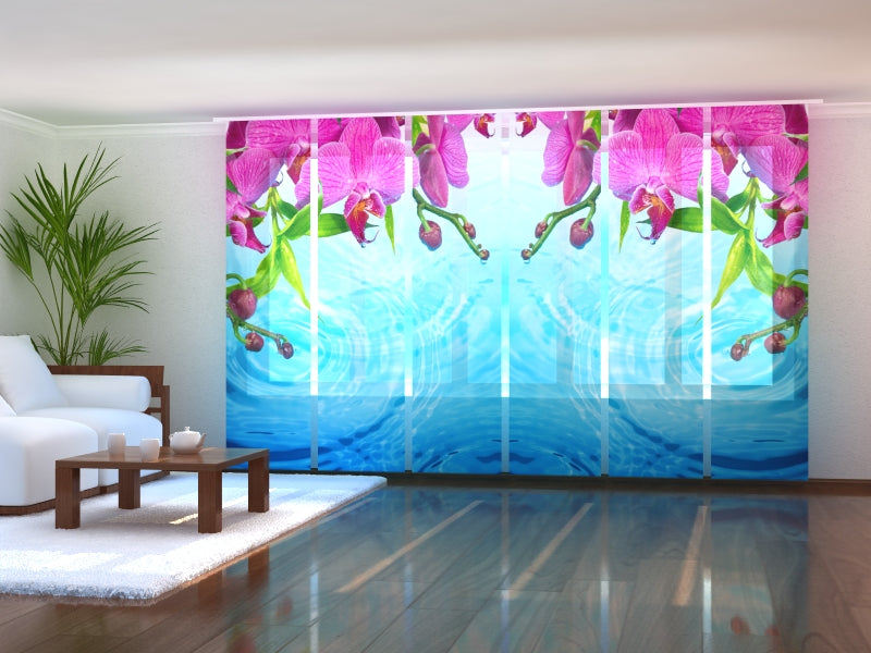 Set di 6 Tende a Pannello Orchidea Meravigliosa acquistare Set di 6 Tende a Pannello Orchidea Meravigliosa — Foto