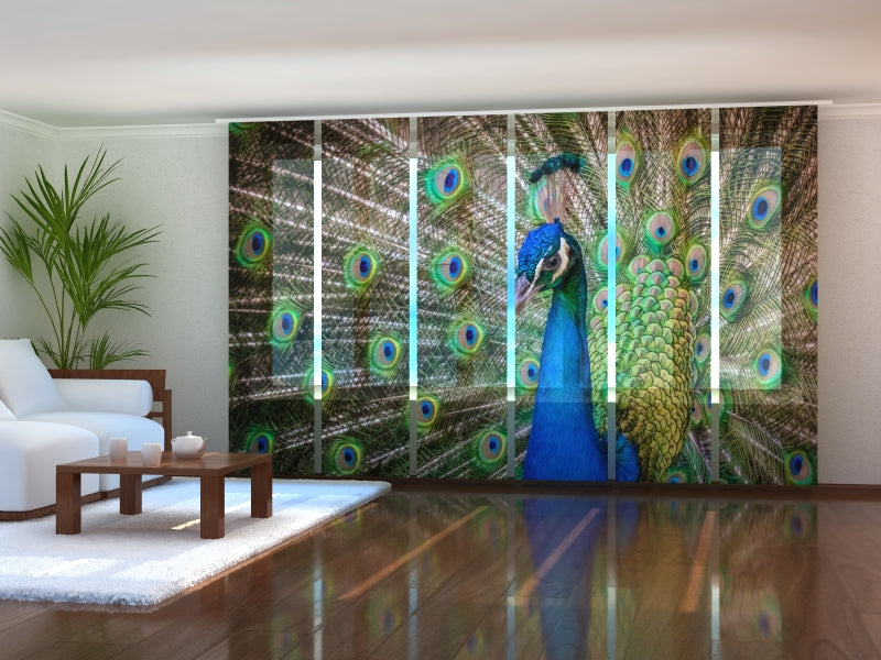 Set di 6 Tende a Pannello Pavone Meraviglioso acquistare Set di 6 Tende a Pannello Pavone Meraviglioso — Foto