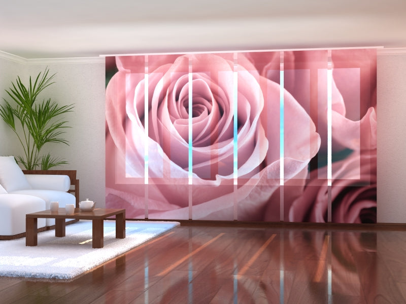 Set di 6 Tende a Pannello Meravigliosa Rosa Rosa acquistare Set di 6 Tende a Pannello Meravigliosa Rosa Rosa — Foto