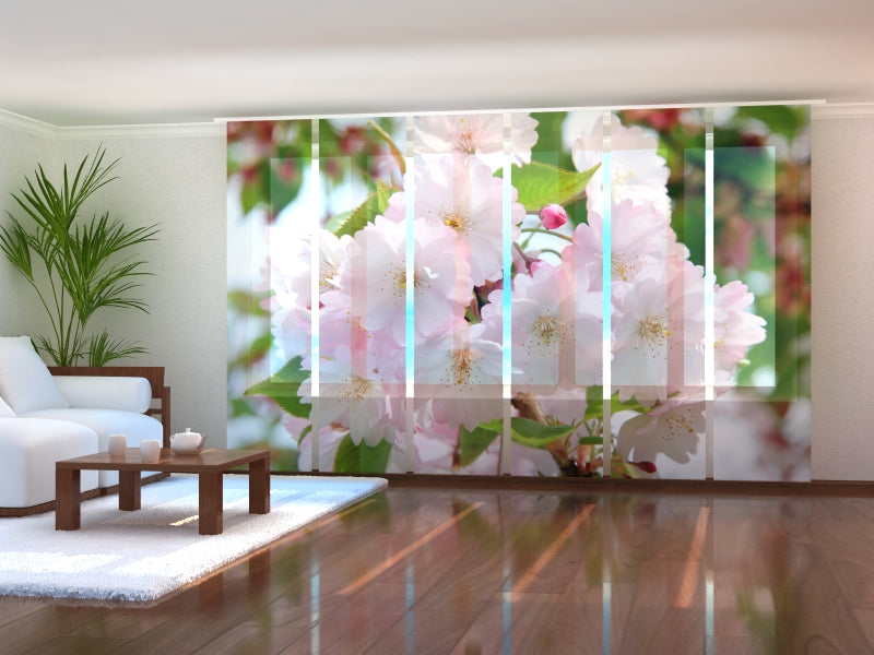 Set di 6 Tende a Pannello Aroma di Primavera acquistare Set di 6 Tende a Pannello Aroma di Primavera — Foto