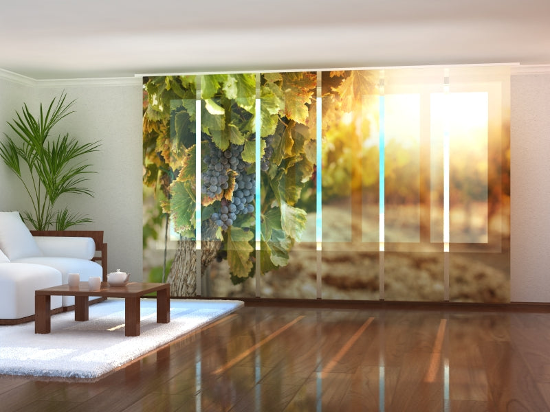 Set di 6 Tende a Pannello Vitigno Autunnale acquistare Set di 6 Tende a Pannello Vitigno Autunnale — Foto