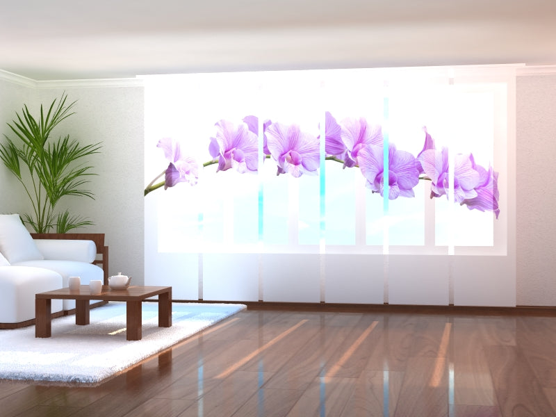 Set di 6 Tende a Pannello Fantastiche Orchidee Lilla acquistare Set di 6 Tende a Pannello Fantastiche Orchidee Lilla — Foto