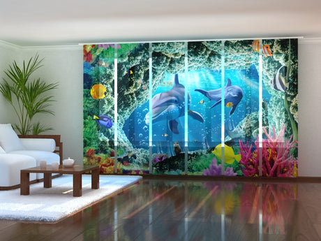 acquistare  — Foto