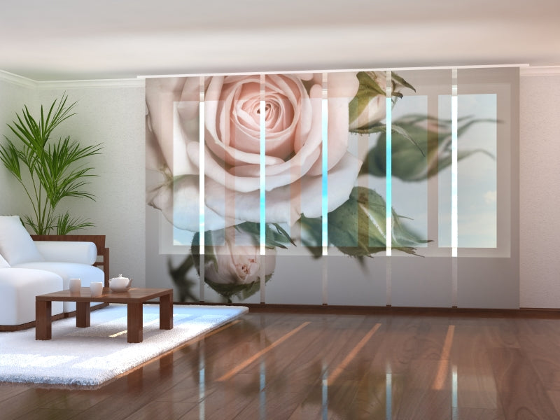 Set di 6 Tende a Pannello Magnifica Rosa con Boccioli acquistare Set di 6 Tende a Pannello Magnifica Rosa con Boccioli — Foto