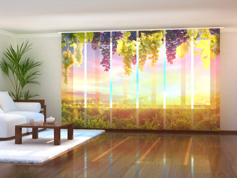 Set di 6 Tende a Pannello Grappoli d'Uva al Sole Estivo acquistare Set di 6 Tende a Pannello Grappoli d'Uva al Sole Estivo — Foto