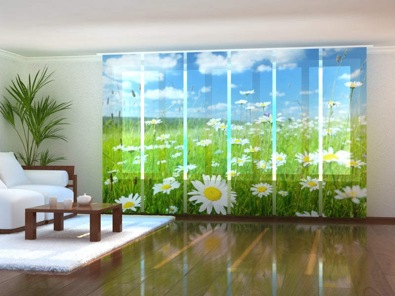 Set di 6 Tende a Pannello Campo di Camomille acquistare Set di 6 Tende a Pannello Campo di Camomille — Foto