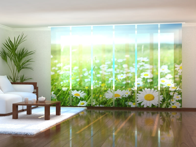 Set di 6 Tende a Pannello Camomille della Provenza acquistare Set di 6 Tende a Pannello Camomille della Provenza — Foto