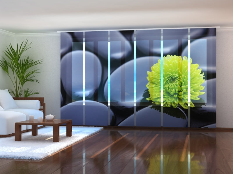 Set di 6 Tende a Pannello Armonia di Crisantemi acquistare Set di 6 Tende a Pannello Armonia di Crisantemi — Foto