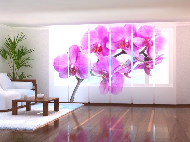 Set di 6 Tende a Pannello Felicit�� Cremisi acquistare Set di 6 Tende a Pannello Felicit�� Cremisi — Foto