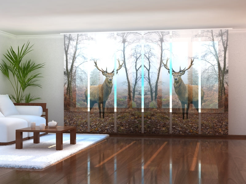 Set di 6 Tende a Pannello Cervo nella Foresta acquistare Set di 6 Tende a Pannello Cervo nella Foresta — Foto