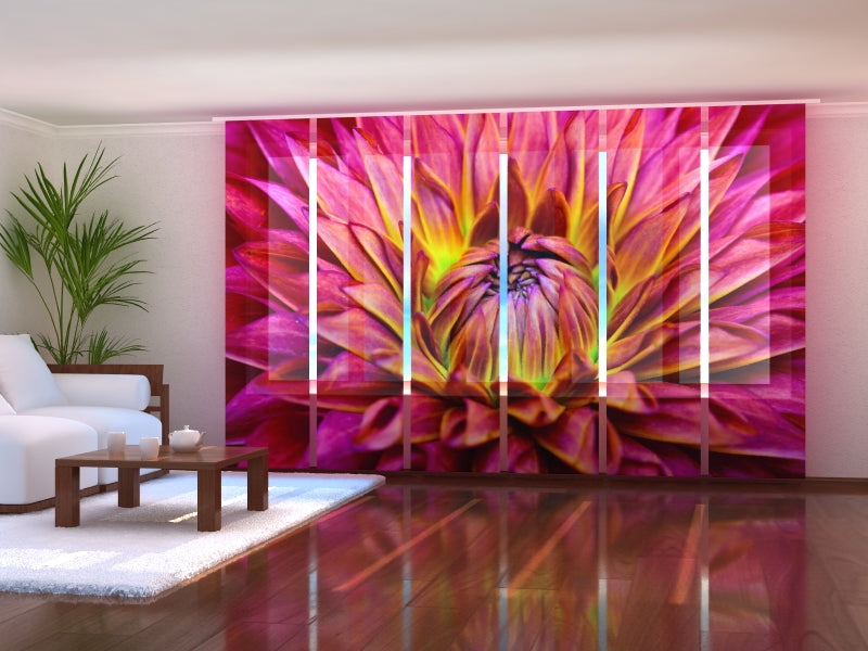 Set di 6 Tende a Pannello Delicato Fiore Dalia acquistare Set di 6 Tende a Pannello Delicato Fiore Dalia — Foto