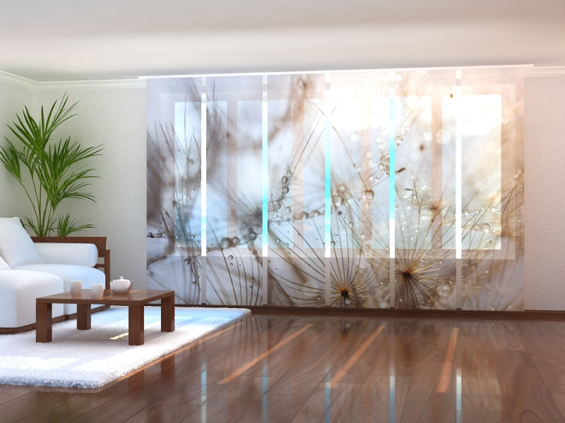 Set di 6 Tende a Pannello Dente di Leone Delicato acquistare Set di 6 Tende a Pannello Dente di Leone Delicato — Foto