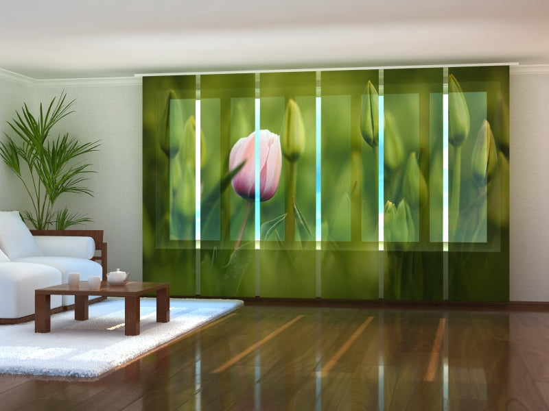 Set di 6 Tende a Pannello Primo Tulipano Rosa acquistare Set di 6 Tende a Pannello Primo Tulipano Rosa — Foto