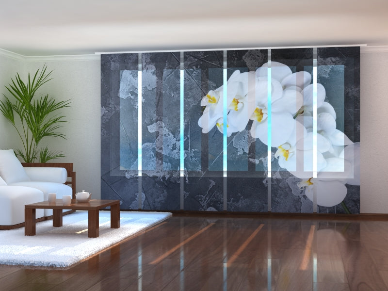 Set di 6 Tende a Pannello Orchidee Fresche su una Pietra acquistare Set di 6 Tende a Pannello Orchidee Fresche su una Pietra — Foto