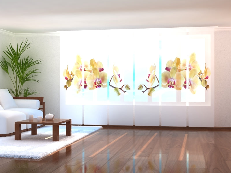 Set di 6 Tende a Pannello Orchidea Dorata su Bianco acquistare Set di 6 Tende a Pannello Orchidea Dorata su Bianco — Foto