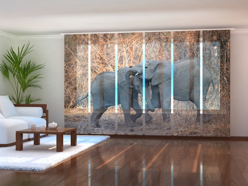 Set di 6 Tende a Pannello Elefanti Indiani acquistare Set di 6 Tende a Pannello Elefanti Indiani — Foto