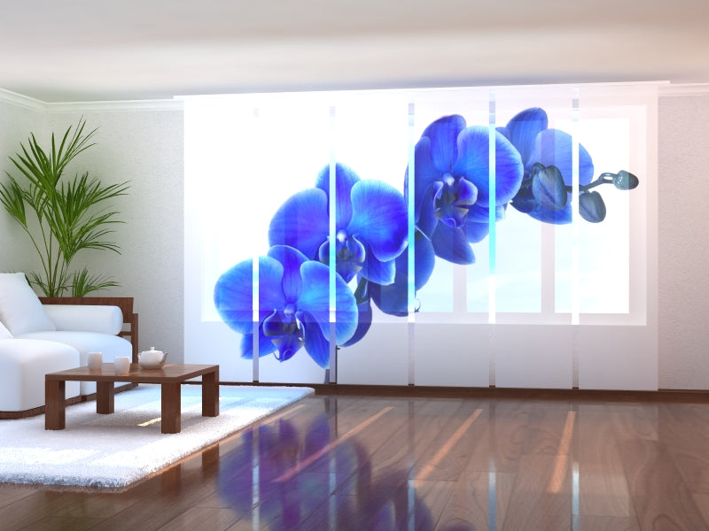 Set di 6 Tende a Pannello Delizioso Zaffiro acquistare Set di 6 Tende a Pannello Delizioso Zaffiro — Foto