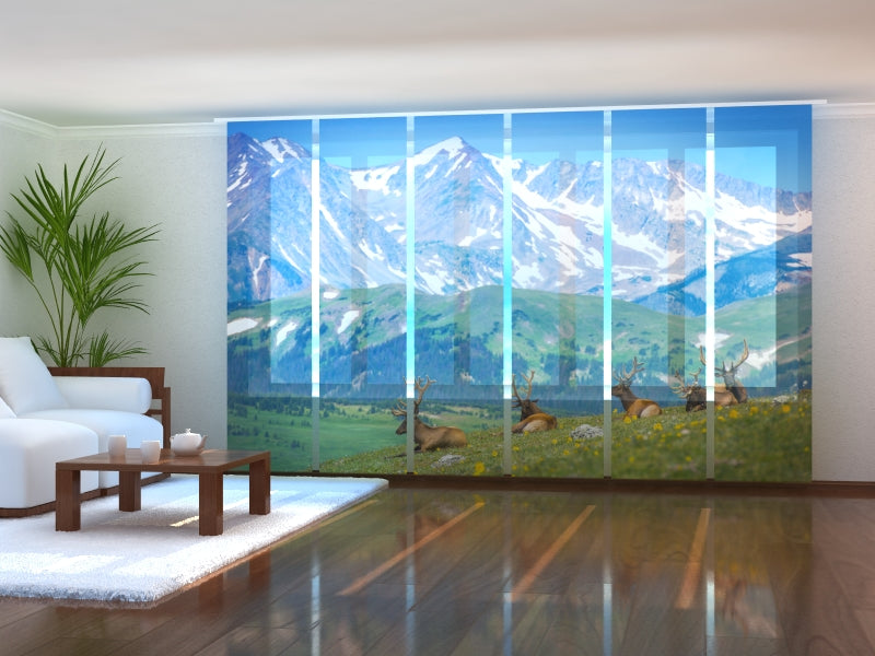 Set di 6 Tende a Pannello Renna sul Prato delle Montagne Rocciose acquistare Set di 6 Tende a Pannello Renna sul Prato delle Montagne Rocciose — Foto