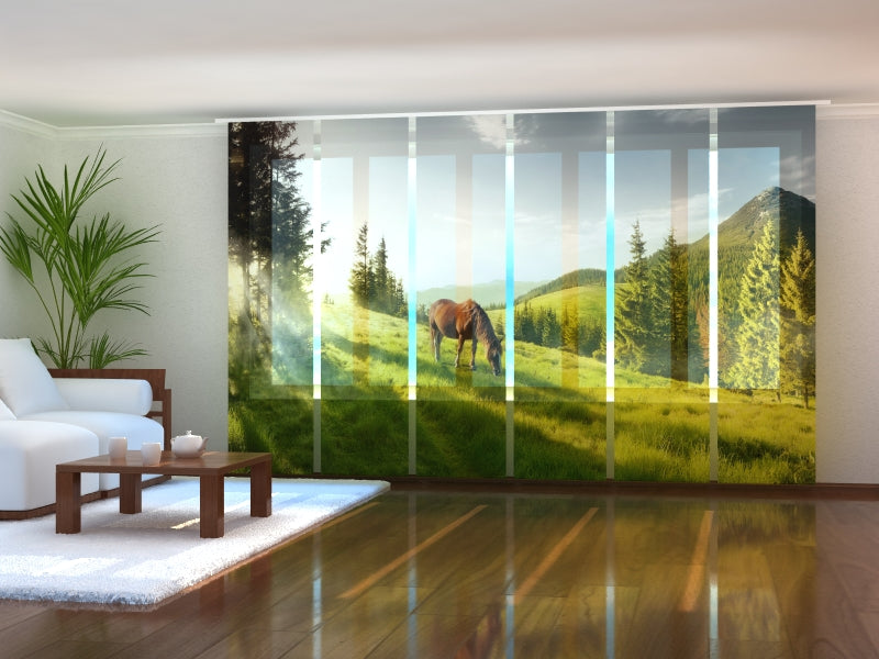 Set di 6 Tende a Pannello Una Mattina acquistare Set di 6 Tende a Pannello Una Mattina — Foto