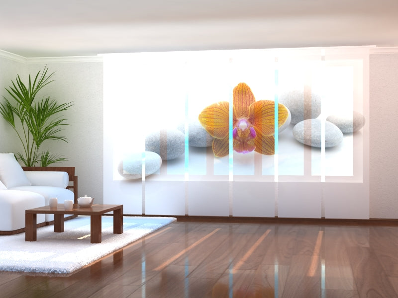 Set di 6 Tende a Pannello Orchidea Arancione su Pietre Termali acquistare Set di 6 Tende a Pannello Orchidea Arancione su Pietre Termali — Foto