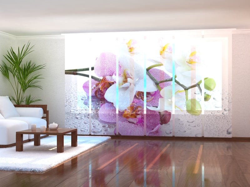 Set di 6 Tende a Pannello Orchidee e Pioggia 2 acquistare Set di 6 Tende a Pannello Orchidee e Pioggia 2 — Foto