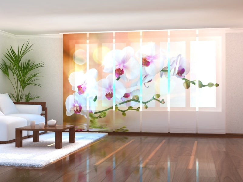 Set di 6 Tende a Pannello Orchidea Perfetta acquistare Set di 6 Tende a Pannello Orchidea Perfetta — Foto