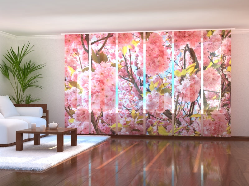 Set di 6 Tende a Pannello Sakura Rosa acquistare Set di 6 Tende a Pannello Sakura Rosa — Foto