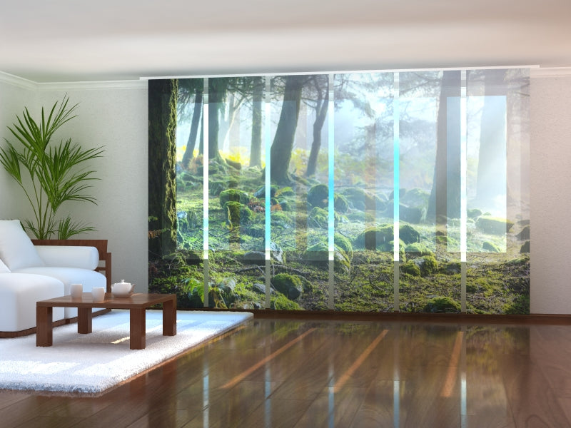 Set di 6 Tende a Pannello Foresta Pluviale all'Alba acquistare Set di 6 Tende a Pannello Foresta Pluviale all'Alba — Foto