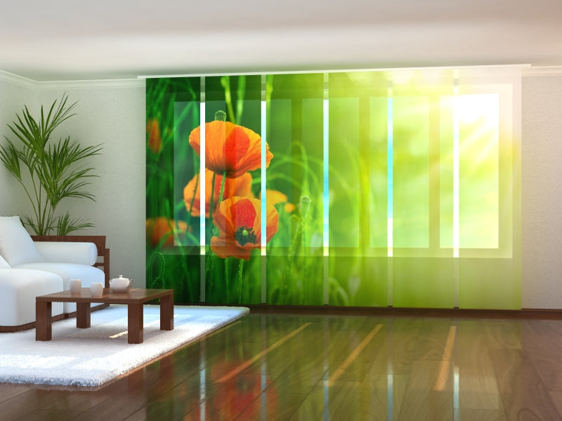 Set di 6 Tende a Pannello Papaveri Rossi in Campo Verde acquistare Set di 6 Tende a Pannello Papaveri Rossi in Campo Verde — Foto