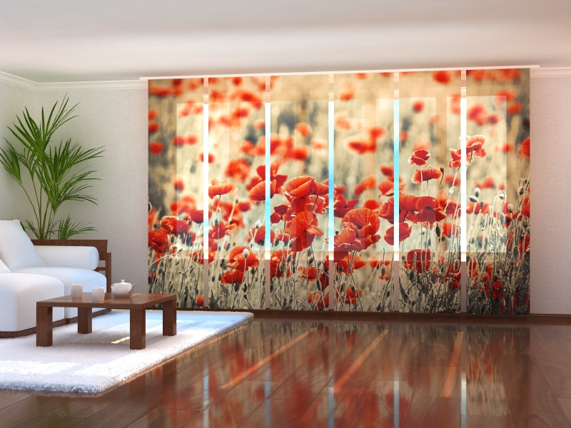 Set di 6 Tende a Pannello Campo di Papaveri Retrò acquistare Set di 6 Tende a Pannello Campo di Papaveri Retrò — Foto