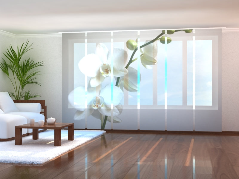 Set di 6 Tende a Pannello Orchidea Bianca acquistare Set di 6 Tende a Pannello Orchidea Bianca — Foto