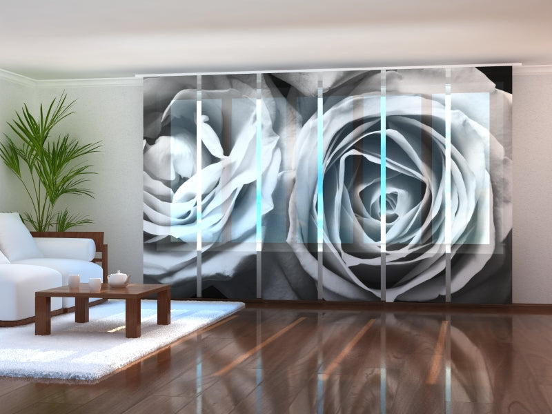 Set di 6 Tende a Pannello Rose in Sfumature Bianche e Nere acquistare Set di 6 Tende a Pannello Rose in Sfumature Bianche e Nere — Foto