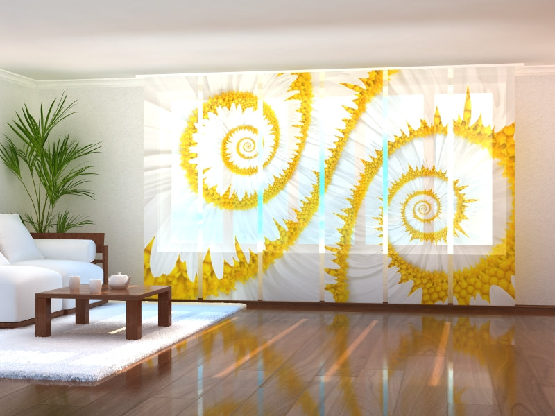 Set di 6 Tende a Pannello Spirale di Camomille acquistare Set di 6 Tende a Pannello Spirale di Camomille — Foto