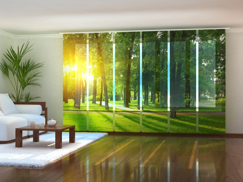 Set di 6 Tende a Pannello Parco in Primavera acquistare Set di 6 Tende a Pannello Parco in Primavera — Foto