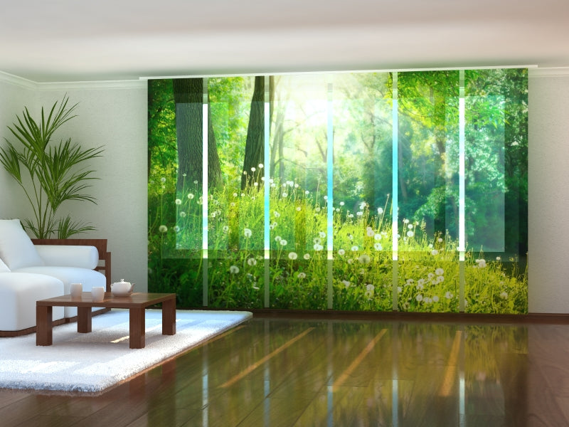 Set di 6 Tende a Pannello Denti di Leone Estivi acquistare Set di 6 Tende a Pannello Denti di Leone Estivi — Foto