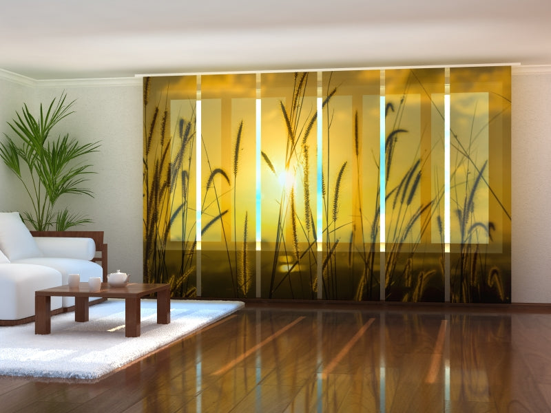 Set di 6 Tende a Pannello Tramonto sul Campo acquistare Set di 6 Tende a Pannello Tramonto sul Campo — Foto