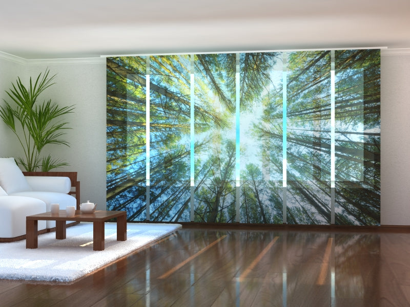 Set di 6 Tende a Pannello Cime di Alberi acquistare Set di 6 Tende a Pannello Cime di Alberi — Foto