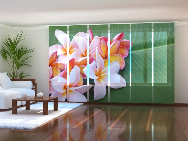 Set di 6 Tende a Pannello Fiori Tropicali 4 acquistare Set di 6 Tende a Pannello Fiori Tropicali 4 — Foto