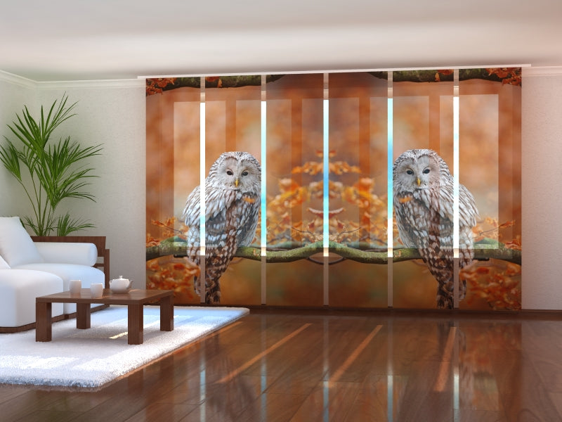 Set di 6 Tende a Pannello Allocco Degli Urali in Autunno Foresta di Querce acquistare Set di 6 Tende a Pannello Allocco Degli Urali in Autunno Foresta di Querce — Foto