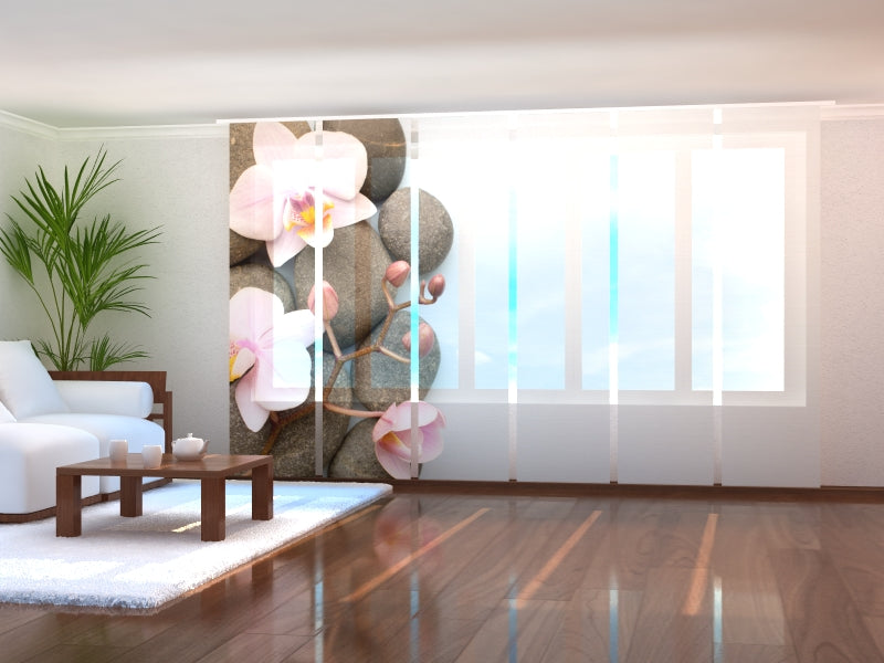 Set di 6 Tende a Pannello Orchidea di Vienna acquistare Set di 6 Tende a Pannello Orchidea di Vienna — Foto