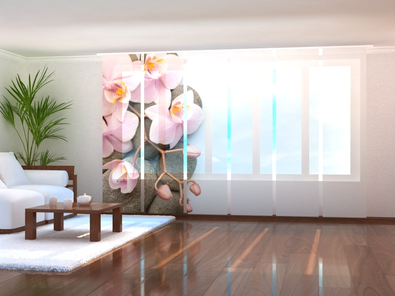 Set di 6 Tende a Pannello Orchidea di Vienna 2 acquistare Set di 6 Tende a Pannello Orchidea di Vienna 2 — Foto